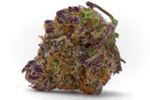 Purple BOAX wholesale smokeable hemp flower lbs for sale Colorado