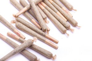 the average cost of hemp pre roll joints