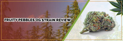 image of page banner fruity pebbles og strain review