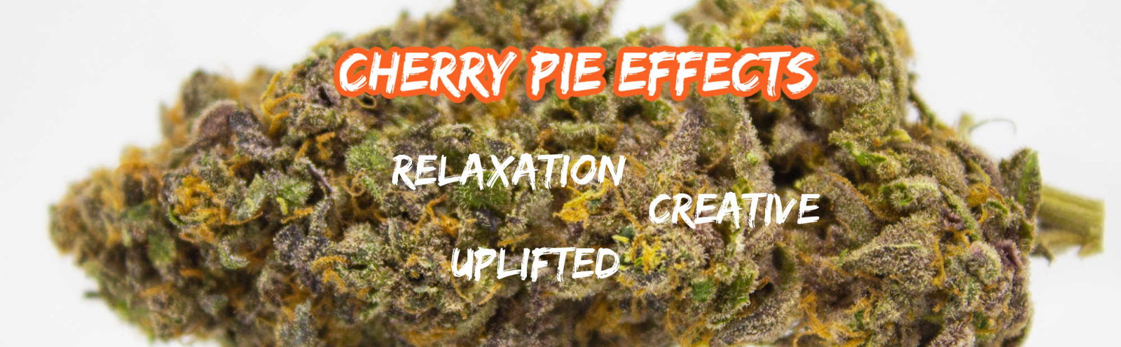 image of cherry pie effects