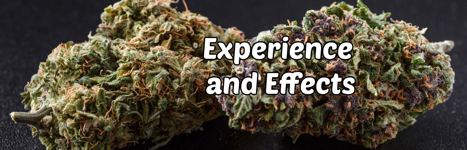 image of lifter strain experience and effects