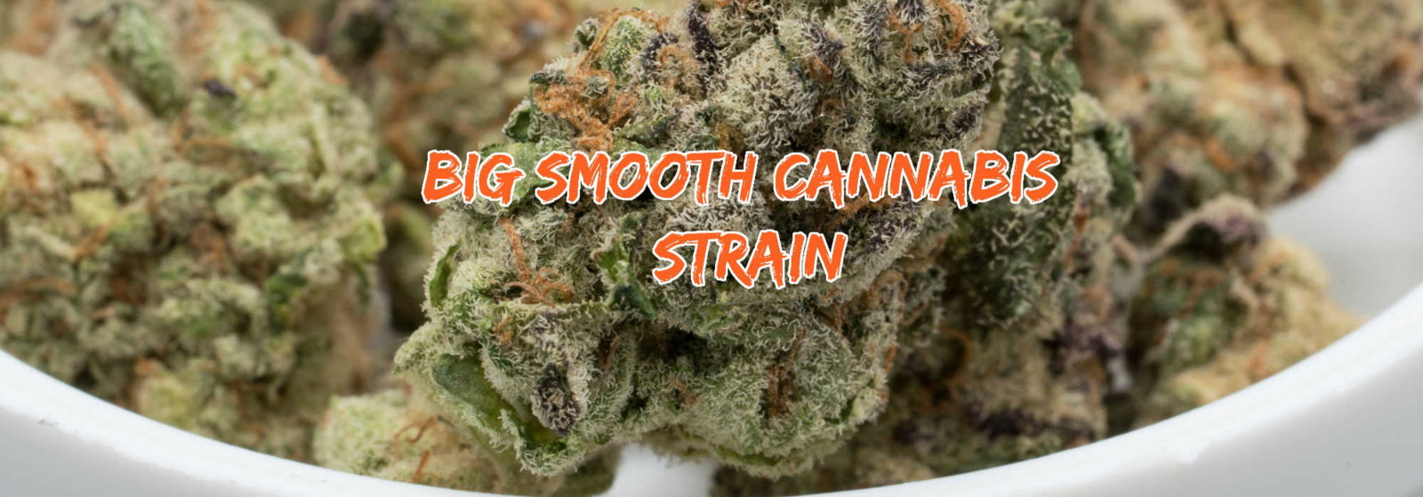 image of big smooth strain