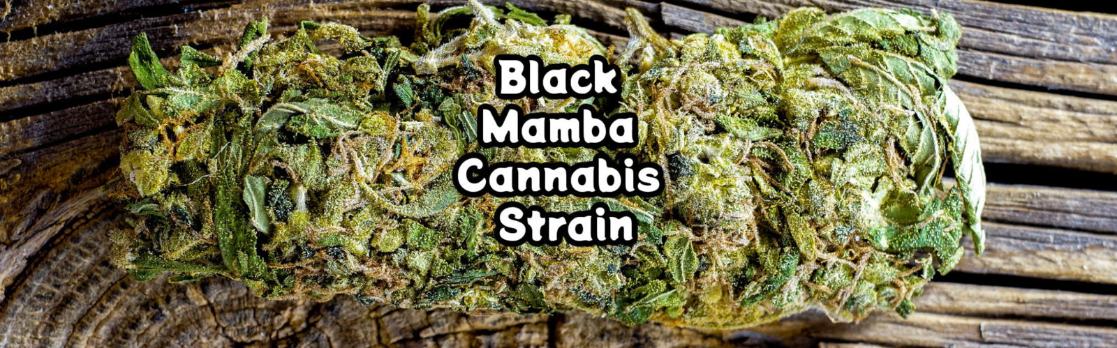 image of black mamba strain