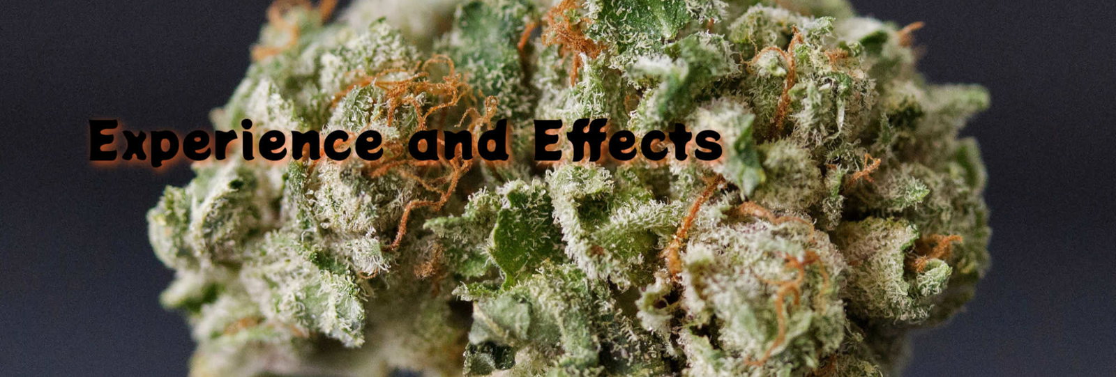 image of black mamba strain experience and effects