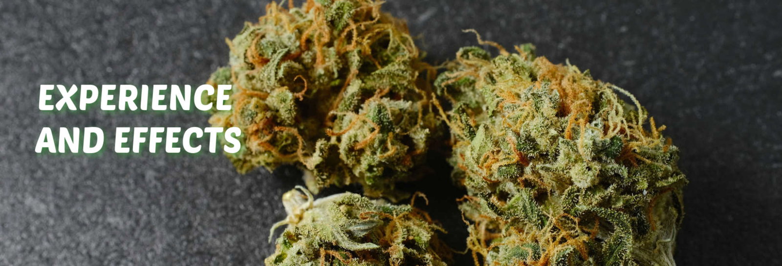 image of candy jack cannabis strain experience and effects