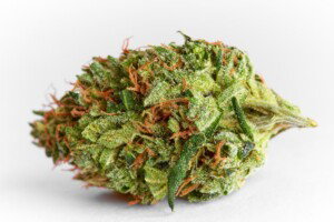 AK47 Cannabis Bud