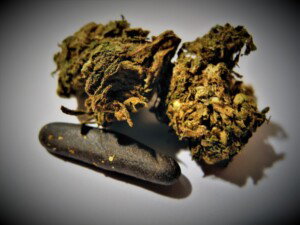 Afghani Cannabis Bud