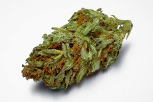 Blue Cookies Cannabis Bud