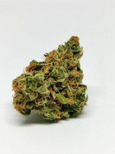 Chocolope Cannabis Bud