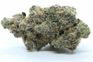 Cookies and Cream Cannabis Bud