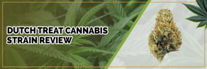 image of dutch treat cannabis strain review page banner