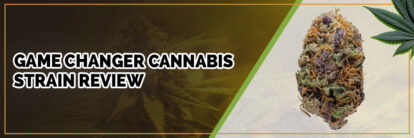 image of game changer cannabis strain page banner