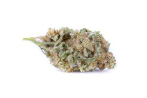Canna-Tsu Cannabis bud