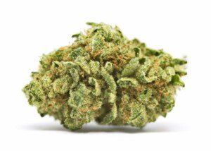 Papaya Cannabis bud