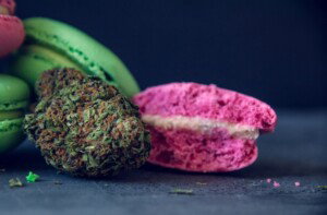 Pink Cookies Cannabis bud