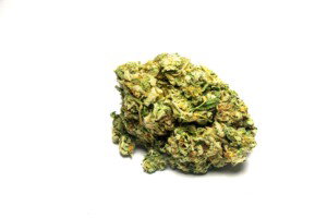 Purple Urkle Cannabis bud