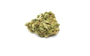 Skywalker OG Cannabis bud