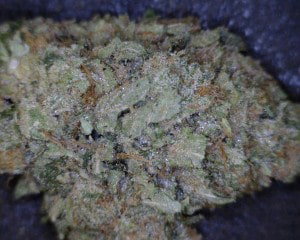 Skywalker OG Cannabis flower close up