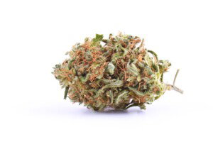 Vanilla Kush Cannabis bud