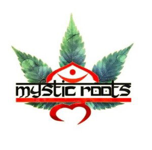 mystic roots
