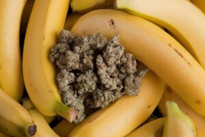 Banana OG Cannabis bud