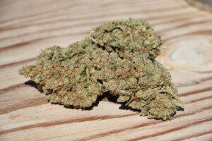 Black Jack cannabis bud