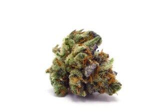 Chemdawg Cannabis bud