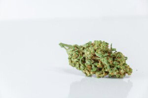 Dark Star Cannabis bud