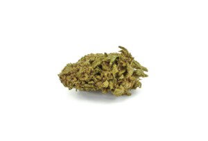 Jillybean Cannabis bud
