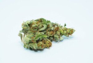 L.A. Confidential Cannabis bud