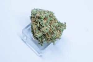 MK Ultra Cannabis bud