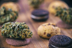 Platinum Cookies Cannabis bud