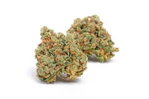 Tahoe OG Cannabis bud