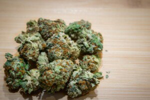 Blackberry Cannabis bud