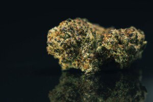 Blackwater Cannabis bud