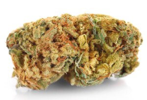 Bubba Hash Cannabis bud