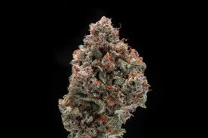 Cherry Cookies Cannabis bud