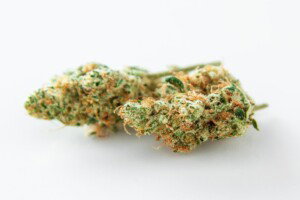Cuvee Cannabis bud