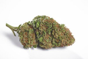 Flo Cannabis bud