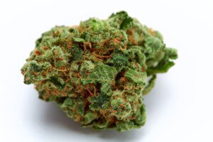 Goji OG Cannabis bud