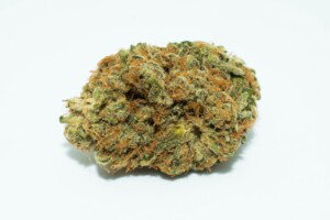 J1 Cannabis bud