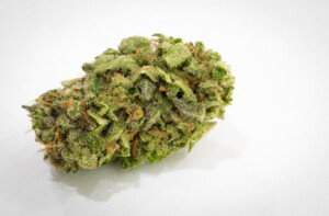 Jack Herer Cannabis Bud