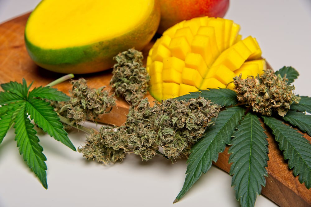 Juicy Fruit Cannabis Strain