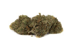 King Louis XIII Cannabis Bud