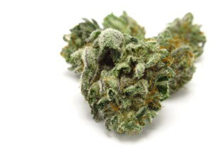 Kosher Kush Cannabis bud