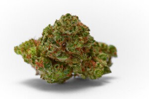 Strawberry Diesel Cannabis bud