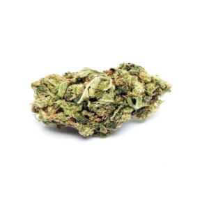 Sunset Sherbert Cannabis bud