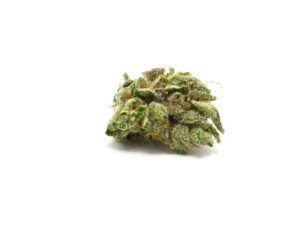 Willie Nelson Cannabis bud