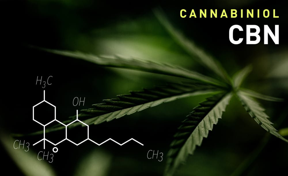 Best CBN cannabis strains