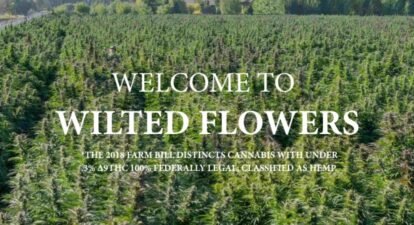 Wilted Flowers brand review